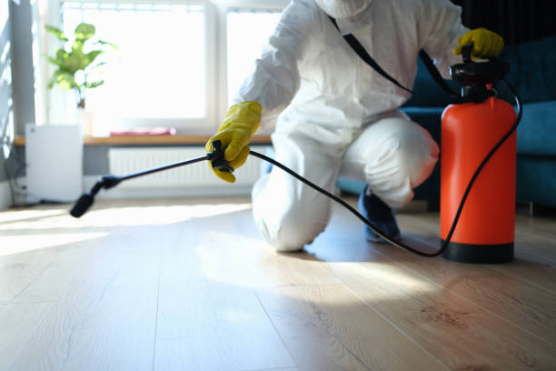 Reliable Odor Removal contractor in Three Rivers, CA by Trauma Clean Pros